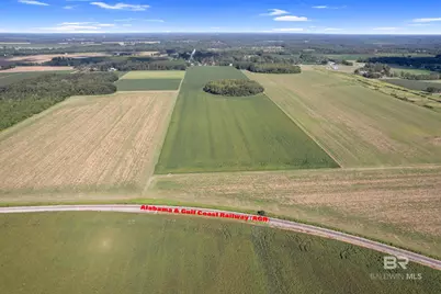 5700 Block Pine Forest Road, Walnut Hill, FL 32568 - Photo 17