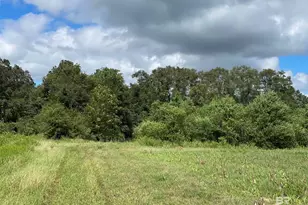 5700 Block Pine Forest Rd, Walnut Hill, FL 32568 - Photo 15