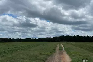 5700 Block Pine Forest Rd, Walnut Hill, FL 32568 - Photo 39