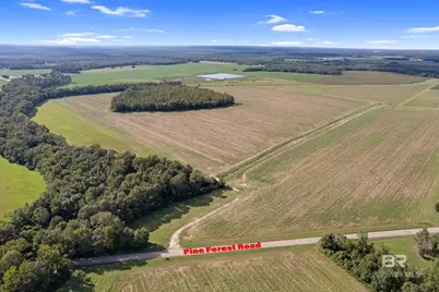 5700 Block Pine Forest Road, Walnut Hill, FL 32568 - Photo 25