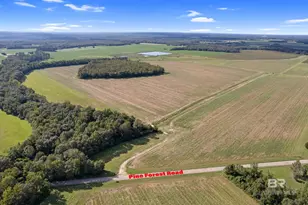 5700 Block Pine Forest Rd, Walnut Hill, FL 32568 - Photo 25