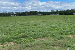 5700 Block Pine Forest Rd, Walnut Hill, FL 32568 - Photo 37