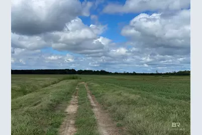 5700 Block Pine Forest Road, Walnut Hill, FL 32568 - Photo 31