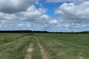 5700 Block Pine Forest Rd, Walnut Hill, FL 32568 - Photo 31