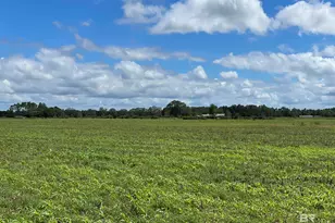 5700 Block Pine Forest Rd, Walnut Hill, FL 32568 - Photo 21