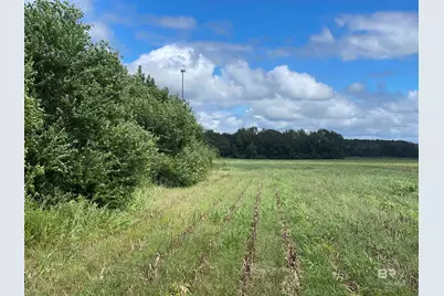 5700 Block Pine Forest Road, Walnut Hill, FL 32568 - Photo 13