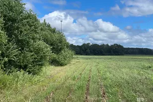 5700 Block Pine Forest Rd, Walnut Hill, FL 32568 - Photo 13