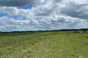 5700 Block Pine Forest Rd, Walnut Hill, FL 32568 - Photo 15