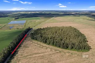 5700 Block Pine Forest Rd, Walnut Hill, FL 32568 - Photo 23