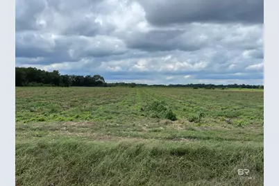 5700 Block Pine Forest Road, Walnut Hill, FL 32568 - Photo 29