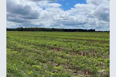 5700 Block Pine Forest Road, Walnut Hill, FL 32568 - Photo 1