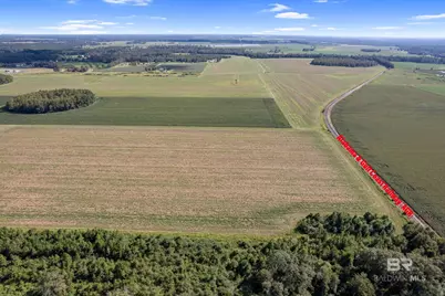 5700 Block Pine Forest Road, Walnut Hill, FL 32568 - Photo 5