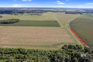 5700 Block Pine Forest Rd, Walnut Hill, FL 32568 - Photo 5