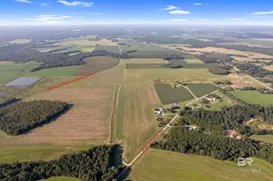 5700 Block Pine Forest Rd, Walnut Hill, FL 32568 - Photo 25