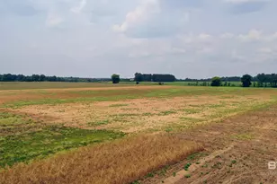 0 Shell Rd, Jay, FL 32565 - Photo 15