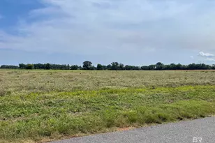 0 Shell Rd, Jay, FL 32565 - Photo 5