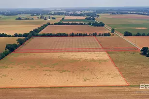 0 Shell Rd, Jay, FL 32565 - Photo 3