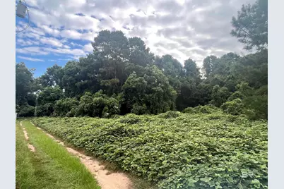 0 Ramsey Road, Fairhope, AL 36532 - Photo 3