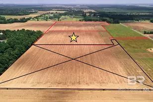 1 Salter Rd, Jay, FL 32565 - Photo 5