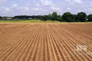 1 Salter Rd, Jay, FL 32565 - Photo 9