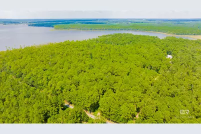 0 Baudin Lane, Foley, AL 36535 - Photo 9