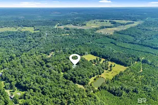 63998 State Hwy 59, Stockton, AL 36579 - Photo 45