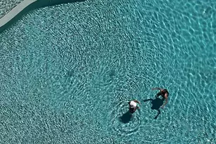 24060 Perdido Beach Blvd, Orange Beach, AL 36561 - Photo 23