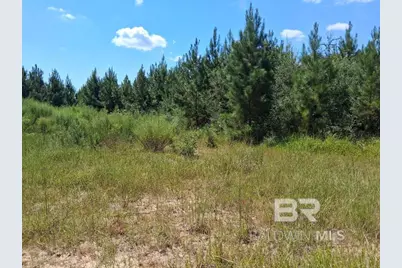 00000 Linholm Road, Robertsdale, AL 36567 - Photo 3