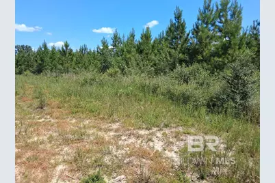 00000 Linholm Road, Robertsdale, AL 36567 - Photo 7