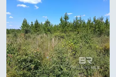 00000 Linholm Road, Robertsdale, AL 36567 - Photo 13