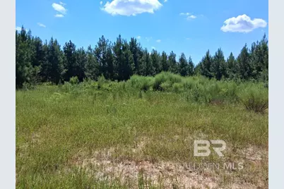 00000 Linholm Road, Robertsdale, AL 36567 - Photo 1