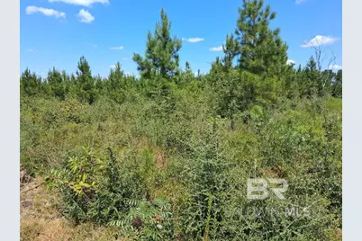 00000 Linholm Road, Robertsdale, AL 36567 - Photo 15