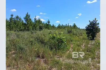 00000 Linholm Road, Robertsdale, AL 36567 - Photo 9