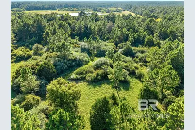 0 Stucki Road, Elberta, AL 36530 - Photo 5