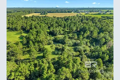 0 Stucki Road, Elberta, AL 36530 - Photo 9
