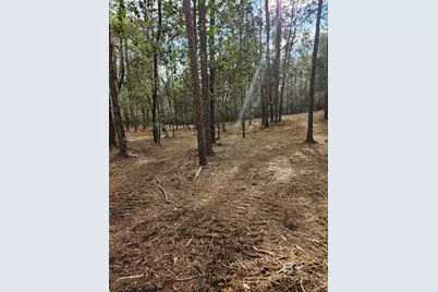 11040 County Road 138, Bay Minette, AL 36507 - Photo 5