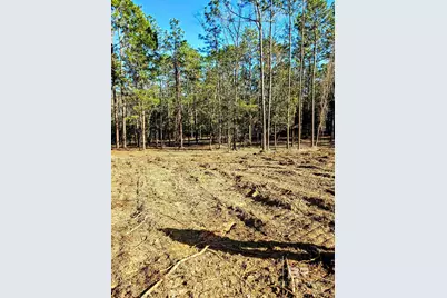 11040 County Road 138, Bay Minette, AL 36507 - Photo 1