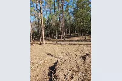 11040 County Road 138, Bay Minette, AL 36507 - Photo 3