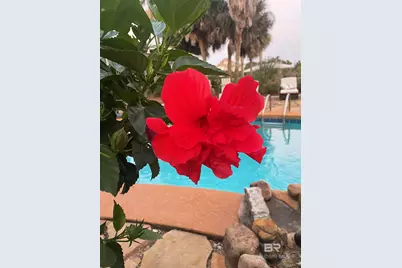 30475 Harbour Drive #OH-03, Orange Beach, AL 36561 - Photo 89