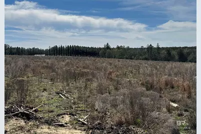 8 County Road 64, Robertsdale, AL 36567 - Photo 13