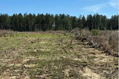 8 County Road 64, Robertsdale, AL 36567 - Photo 11