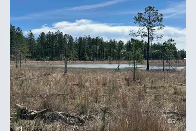 8 County Road 64, Robertsdale, AL 36567 - Photo 3