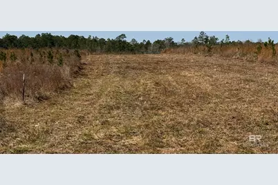 8 County Road 64, Robertsdale, AL 36567 - Photo 15