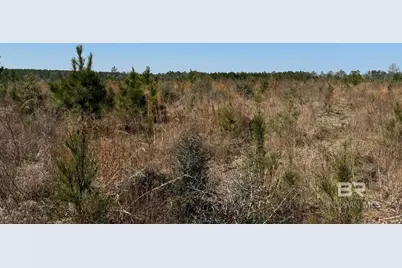 8 County Road 64, Robertsdale, AL 36567 - Photo 21