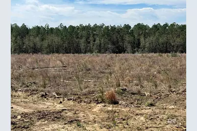 8 County Road 64, Robertsdale, AL 36567 - Photo 21