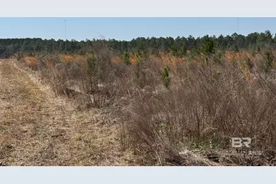 8 County Road 64, Robertsdale, AL 36567 - Photo 15