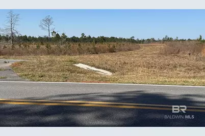 3 County Road 64, Robertsdale, AL 36567 - Photo 3