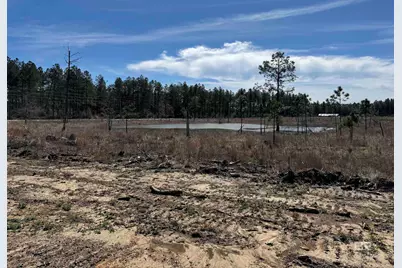 3 County Road 64, Robertsdale, AL 36567 - Photo 21