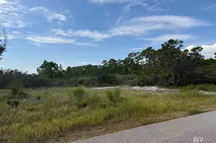 0 W State Hwy 180, Gulf Shores, AL 36542 - Photo 1