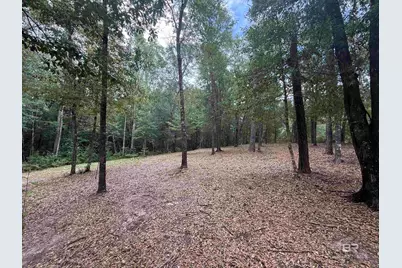 43807 State Highway 225, Bay Minette, AL 36507 - Photo 7